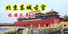 美女开房看大腿日逼中国北京-东城古宫旅游风景区